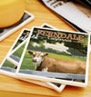 Ceramic Coaster | Ferndale California Cow